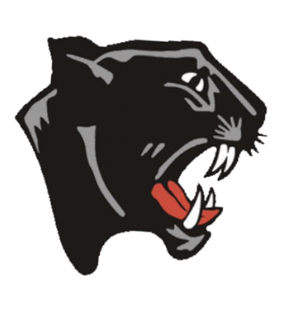 Black Panther Logo