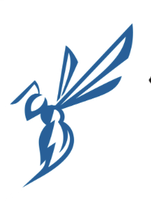 Blue Wings Logo